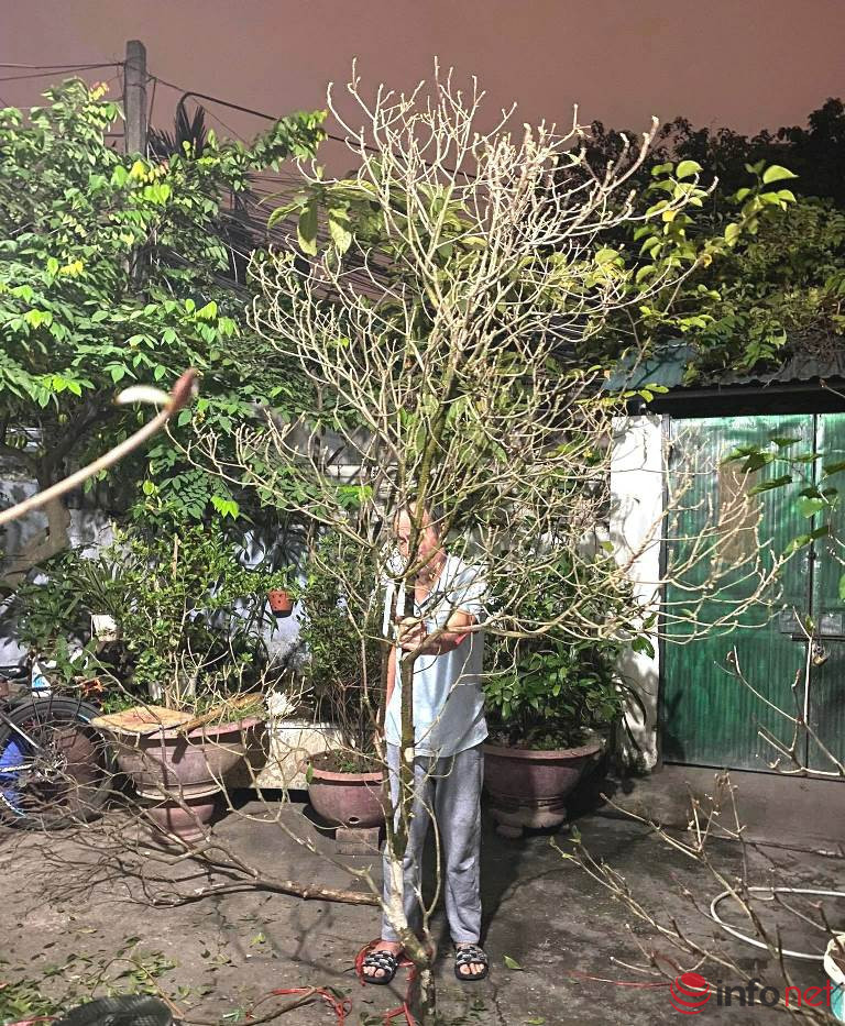 Dao chuong doc la dat Yen Tu, cam ben dep-Hinh-2