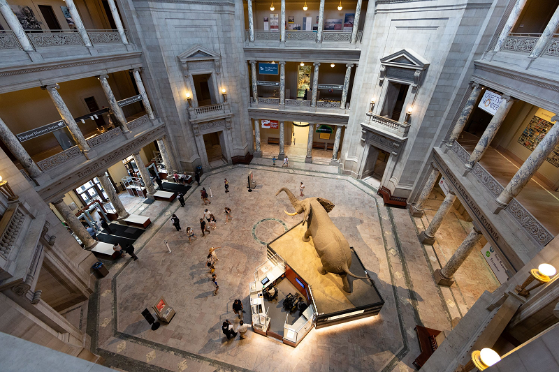 Năm 2016, lần thứ hai được thăm viếng nhất của tất cả các viện bảo tàng Smithsonian. Đây cũng là nơi có khoảng 185 nhà khoa học lịch sử tự nhiên chuyên nghiệp - nhóm các nhà khoa học chuyên nghiên cứu về lịch sử tự nhiên và văn hoá lớn nhất trên thế giới.