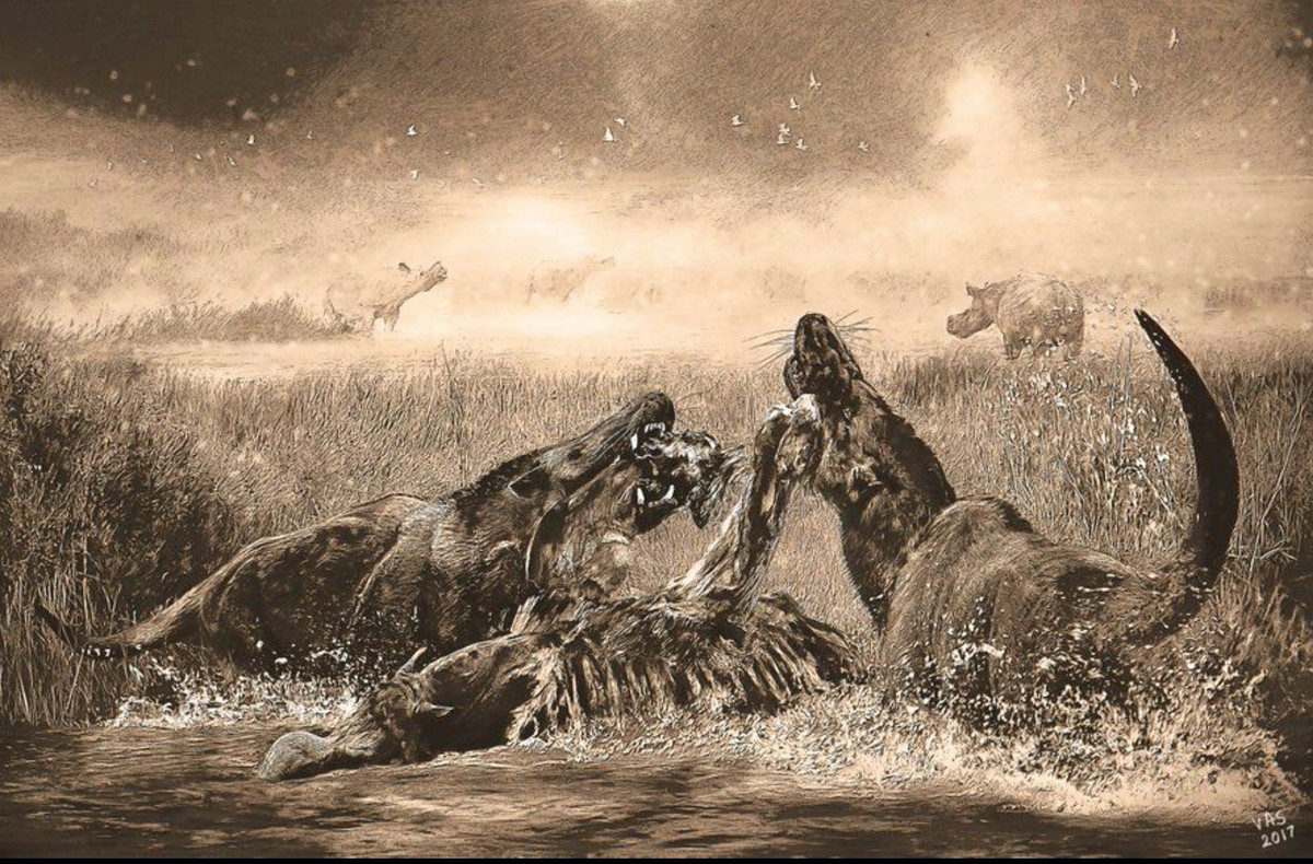 Vào thời Andrewsarchus tồn tại, động vật ăn thịt đích thực (Carnivora) chưa xuất hiện. Trên thực tế, Andrewsarchus có mối liên hệ gần gũi với động vật guốc chẵn, mà ngày nay đều là loài ăn thực vật.