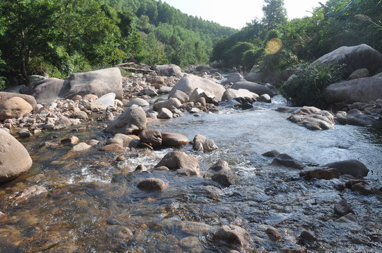 Người dân trong làng đã đặt cho con suối này biệt danh là "dòng suối nhút nhát".