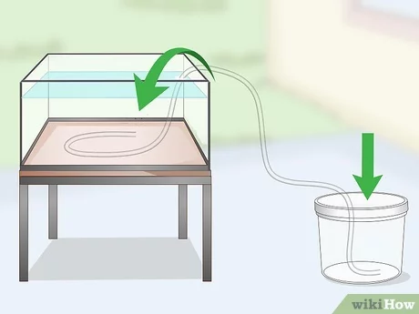 Các chuyên gia địa chất giải thích rằng con suối này phân bố chủ yếu ở nơi có đá carbonatite hình thành. Đá carbonatite bị ép tạo thành nhiều vết nứt nhỏ giống như mao mạch, trong khi lượng mưa hoặc nước sông chảy vào lòng đất theo các vết nứt lớn hơn, tập trung lại thành hố rồi sinh ra hiện tượng xi-phông (siphon).