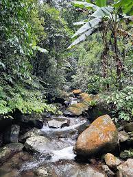 Ngoài ra, dòng suối này còn bị ảnh hưởng bởi lượng mưa không đều, tạo thành dòng nước chảy ngắt quãng, thực chất là một mạch nước phun.