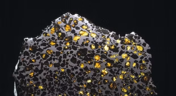 “Bất cứ khi nào bạn tìm thấy một khoáng chất mới, điều đó có nghĩa là điều kiện địa chất thực tế, tính chất hóa học của mảnh thiên thạch này khác với những gì đã được tìm thấy trước đây. Trong miếng thiên thạch này, chúng tôi phát hiện ra 2 loại khoáng chất được mô tả hoàn toàn mới đối với khoa học”, Chris Herd, Giáo sư chuyên khoa Khoa học Trái đất &amp; Khí quyển tại Đại học Alberta, chia sẻ.