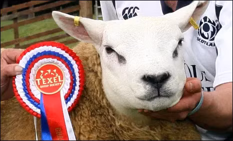 Kỉ lục trước đó thuộc về một con cừu khác có tên Deveronval Perfection, được bán năm 2009 với giá 307.000 đô la.