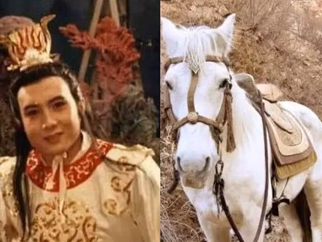 He lo do de thu 4 phap luc cao cuong cua Duong Tang