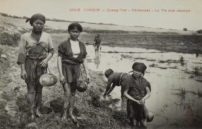 Mò cua bắt ốc: Đúng nghĩa đen với câu cửa miệng "mò cua bắt ốc", đồng ruộng xưa nhiều tôm cá, nên lúc nông nhàn công việc này góp phần cải thiện cuộc sống của người thôn quê Việt Nam.