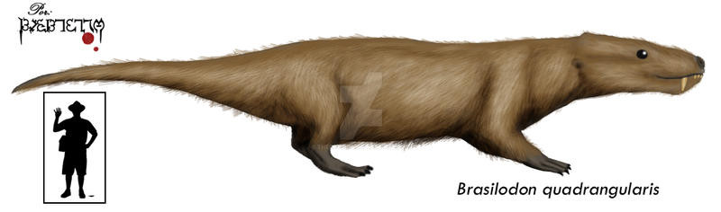 Các nhà khoa học phát hiện, loài này xuất hiện trên Trái đất cách đây 225 triệu năm, cùng thời với một số loài khủng long lâu đời nhất.