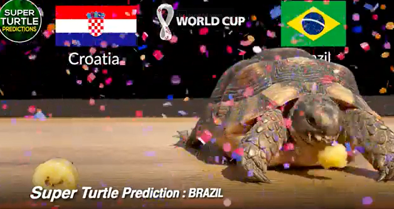 Trong khi đó, thần rùa Super Turtle Predictions đang là "ngôi sao mạng xã hội" với nhiều dự đoán tỉ số chính xác trong các giải bóng đá ngoại hạng Anh, Pháp, cúp C1, hay Olympic Tokyo 2020, Copa America 2021.