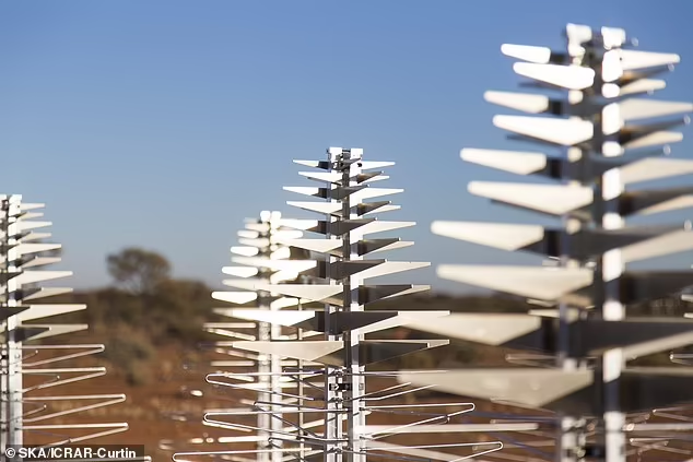 SKA gồm hai hệ thống kính viễn vọng. Hệ thống thứ nhất là SKA-Thấp, nằm ở Tây Australia, gồm 131.072 ăng-ten với hình dạng giống cây thông. SKA-Thấp được đặt tên như vậy do nhạy với tín hiệu vô tuyến tần số thấp, từ 50 - 350 megahertz. Hệ thống sẽ nhạy gấp 8 lần các kính viễn vọng tương tự hiện nay và lập bản đồ bầu trời nhanh gấp 135 lần.