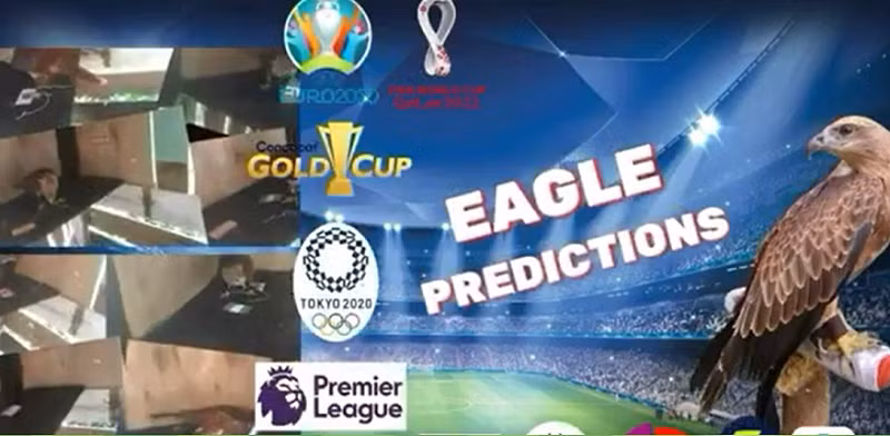 Cách đây 3 tuần, đại bàng Romeo cũng lựa chọn Argentina là đội vô địch World Cup khi được lựa chọn 1 trong 32 lá cờ của các đội bóng tham dự.