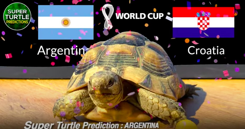 Trong khi đó, thần rùa Super Turtle Predictions đang là "ngôi sao mạng xã hội" với nhiều dự đoán tỉ số chính xác trong các giải bóng đá ngoại hạng Anh, Pháp, cúp C1, hay Olympic Tokyo 2020, Copa America 2021.