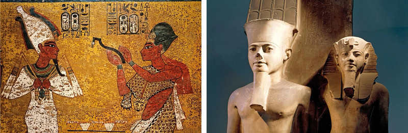 Tuy nhiên, bằng chứng DNA có thể không giải quyết được vấn đề. Nhà Ai Cập học Salima Ikram thuộc Đại học Mỹ ở Cairo nói rằng các thế hệ giao phối cận huyết xảy ra giữa các hoàng gia Ai Cập hạn chế các kết luận có thể được rút ra từ nghiên cứu di truyền.