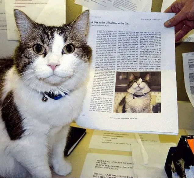 Khi hiện tượng mèo Oscar được giới truyền thông đăng tải, ngành y tế bang Rhode Island quyết định thành lập một nhóm nghiên cứu về khả năng dị thường của nó cũng như về các hiện tượng xảy ra trên cơ thể con người khi sắp chết.