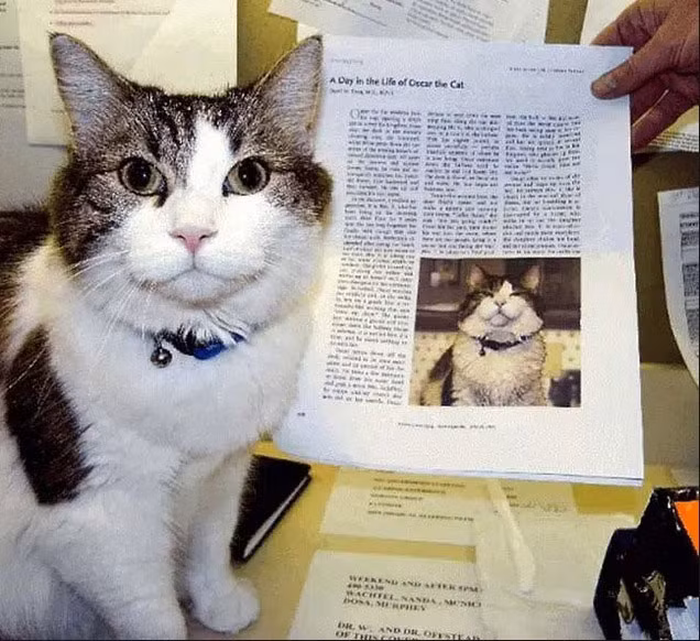 Khi hiện tượng mèo Oscar được giới truyền thông đăng tải, ngành y tế bang Rhode Island quyết định thành lập một nhóm nghiên cứu về khả năng dị thường của nó cũng như về các hiện tượng xảy ra trên cơ thể con người khi sắp chết.