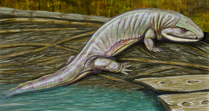 Như vậy, sinh vật có hình hài giống khủng long này cổ xưa hơn T-rex rất nhiều nhưng cũng giống như T-rex, là chúa tể của thế giới quái thú cổ đại.