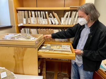 Theo tiến sĩ Ben Otoo, đồng tác giả của nghiên cứu, khác hoàn toàn với bò sát hiện đại trưởng thành một cách chậm rãi và bền vững, các Whatcheeria cổ đại nhanh chóng đạt đến tầm "quái thú" ngay trong giai đoạn đầu đời.