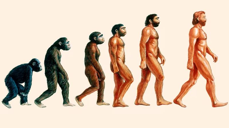 Họ là ai, hình dáng thế nào vẫn còn là một bí ẩn, bởi chưa có bất cứ một hóa thạch nào của loài người bí ẩn này được khai quật và xác định. Vì vậy, các nhà khoa học UCLA gọi những yếu tố di truyền từ họ là "DNA ma".