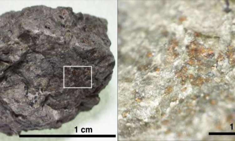 Được tìm thấy tại Allan Hills (Nam Cực) vào năm 1984, thiên thạch ALH84001 thực chất là một vẫn thạch hình thành Sao Hỏa cách đây 4 tỷ năm. Trong một vụ va chạm lớn xảy ra cách đây khoảng 17 triệu năm, một số lượng lớn vẫn thạch trên bề mặt của Sao Hỏa đã văng ra ngoài không gian, trong đó có thiên thạch ALH84001.