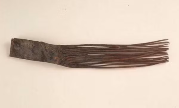 Trâm cài là trang sức quý giá của phụ nữ xưa, nhưng ngày nay, nó không còn được sử dụng rộng rãi mà chỉ được sử dụng như là vật trang trí.