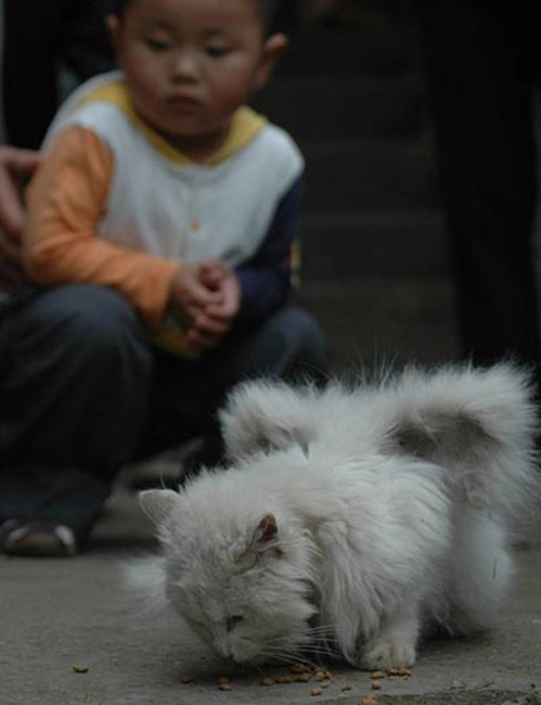 Nguyên nhân của hiện tượng này có thể là do một khuyết tật nào đó về gen di truyền.