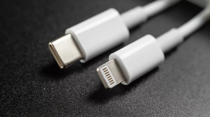 Chấp nhận quy định mới nhưng đại diện Apple cũng nói công ty không hài lòng khi bị ép về mặt pháp lý trong chuyển đổi thông số kỹ thuật. Joswiak cho biết Apple luôn đi theo con đường riêng và tin tưởng vào các kỹ sư của mình, hơn là bị các nhà lập pháp buộc phải áp dụng các tiêu chuẩn phần cứng.