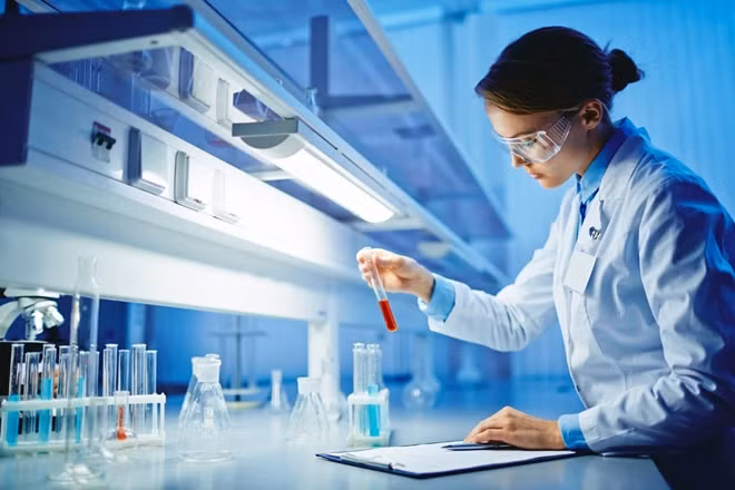 Báo Business Insider dẫn lời nhà nghiên cứu Last tuyên bố, trong tương lai, con người sẽ trì hoãn sự chín muồi về khả năng tình dục. Điều này ám chỉ đến một giả thuyết về lịch sử sự sống, vốn cố gắng giải thích cách quá trình chọn lọc tự nhiên định hình các sự kiện then chốt trong đời sống một sinh vật, chẳng hạn như sự sinh sản, như thế nào.