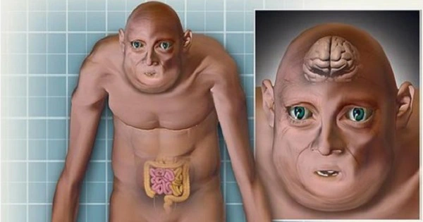 "Một bộ phận cấy ghép vào não sẽ cho phép chúng ta nhớ tên của mọi người. "Chúng ta cũng sẽ biết những gen nào cho phép bộ não ghi nhớ tốt hơn. Và rồi chúng ta chỉ cần thay đổi nó. Nghe có vẻ giống khoa học viễn tưởng. Nhưng chúng ta đã có thể làm điều đó ngay bây giờ", Thomas chia sẻ.