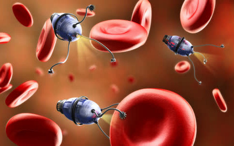 Giả thuyết nêu rằng, khi kích cỡ bộ não tăng lên, các sinh vật cần nhiều năng lượng và thời gian hơn nữa để đạt tới tiềm năng tối đa và vì vậy sinh sản ít hơn. Ông Last nhận định, thay vì sống nhanh và chết trẻ, con người sẽ sống chậm và chết già.