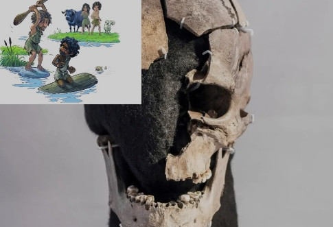 Phân tích về protein thức ăn lưu lại ở cao răng và chênh lệch nguyên tố ở xương và răng của "Người Vittrup" chỉ ra người đàn ông này có thể đến từ bộ lạc săn bắt - đánh cá tới ở vùng ven biển phía bắc Scandinavia, gần Vòng cực Bắc.