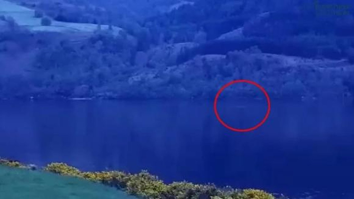 Ông Eoin cho hay quái vật hồ Loch Ness dài gần 8m, thỉnh thoảng trồi lên mặt hồ và để lộ chiếc cổ dài đặc trưng cũng như chiếc bướu đen. Hình ảnh này được ghi lại vào lúc 19h55 (theo giờ địa phương) ngày 8/5.