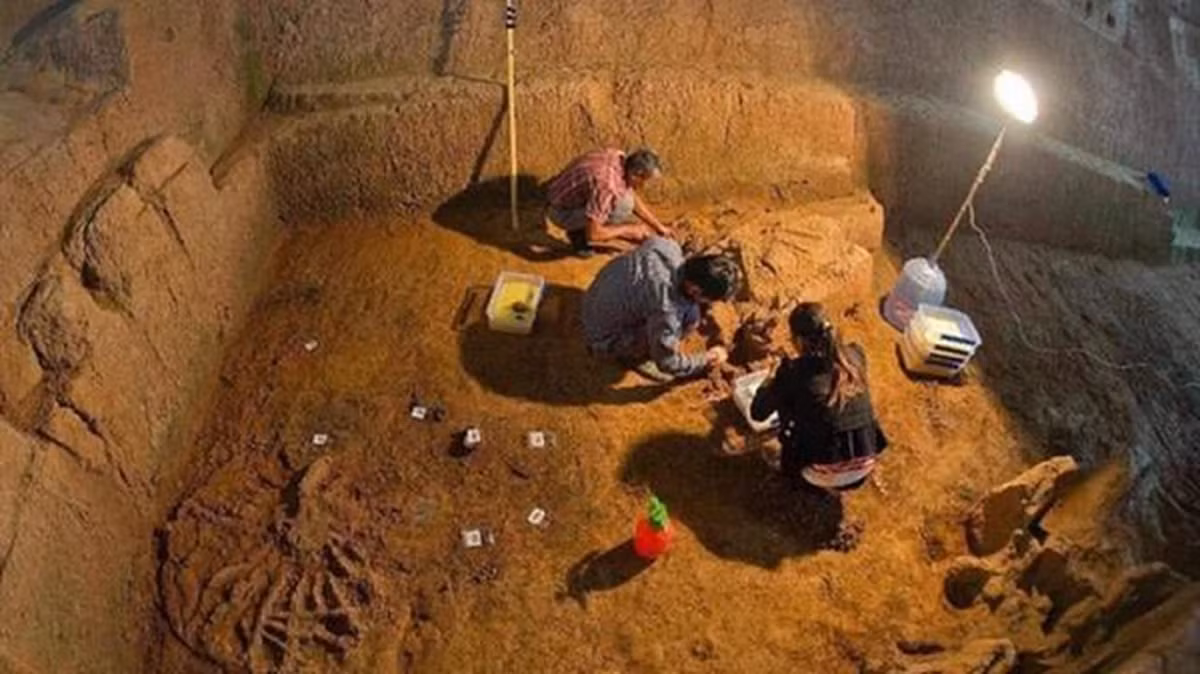 Theo đó, các chuyên gia khảo cổ đã tới hiện trường và kiểm tra, đo đạc. Nhờ vậy, họ xác định đó là ngôi mộ thời Ngũ Đại. Bên trong mộ cổ có nhiều đồ tùy táng giá trị. Căn cứ vào cấu trúc ngôi mộ và kho báu tùy táng, họ suy đoán chủ nhân ngôi mộ có thể là một vương hầu.