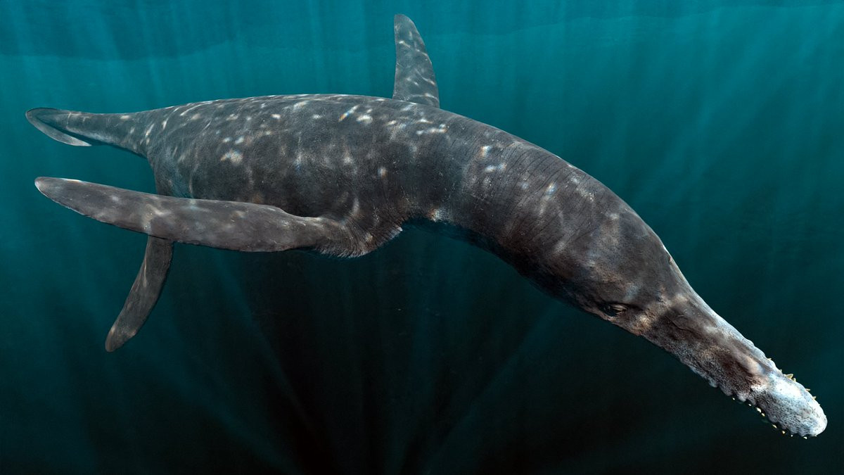 Kết quả nghiên cứu hóa thạch chỉ ra, thủy quái Alienacanthus có hàm dưới đầy răng sắc nhọn, thon và dài bất thường.