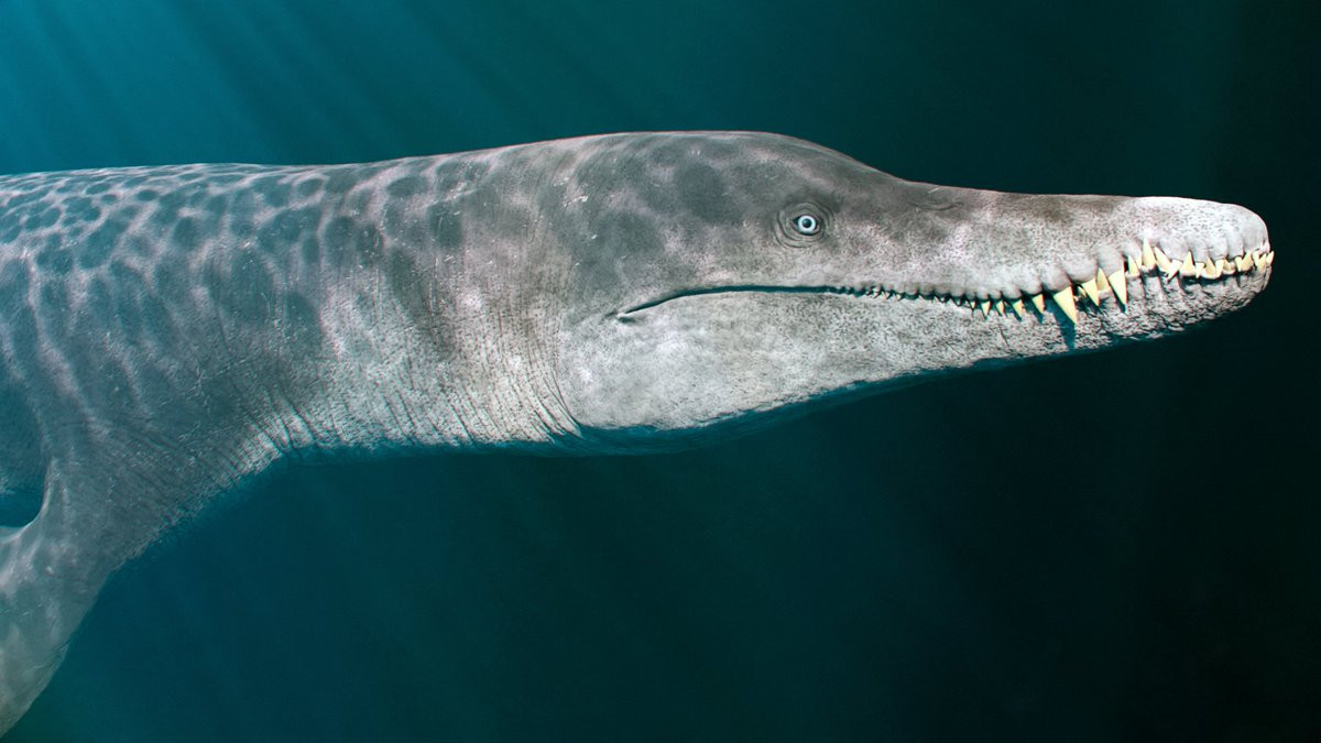 Theo các nhà nghiên cứu, tên gọi Alienacanthus có nghĩa là một thủy quái gai "ngoài hành tinh". Điều này phần nào nói lên sự nguy hiểm, kỳ dị của sinh vật cổ đại này.