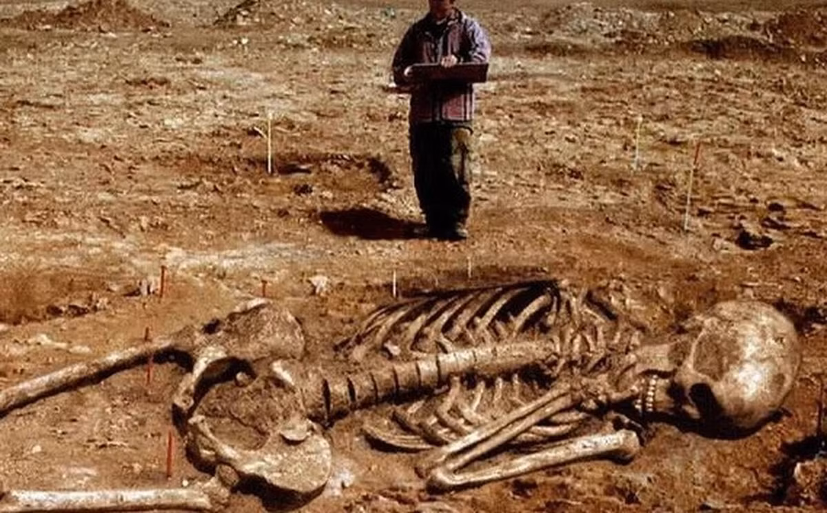 Vào tháng 5/1912, các nhà khảo cổ thuộc Đại học Beloit, Mỹ khai quật được 18 bộ hài cốt tại khu vực hồ Delavan, Wisconsin. Điều khiến họ bất ngờ là những thi hài này có kích thước lớn hơn rất nhiều so với vóc dáng của người bình thường.