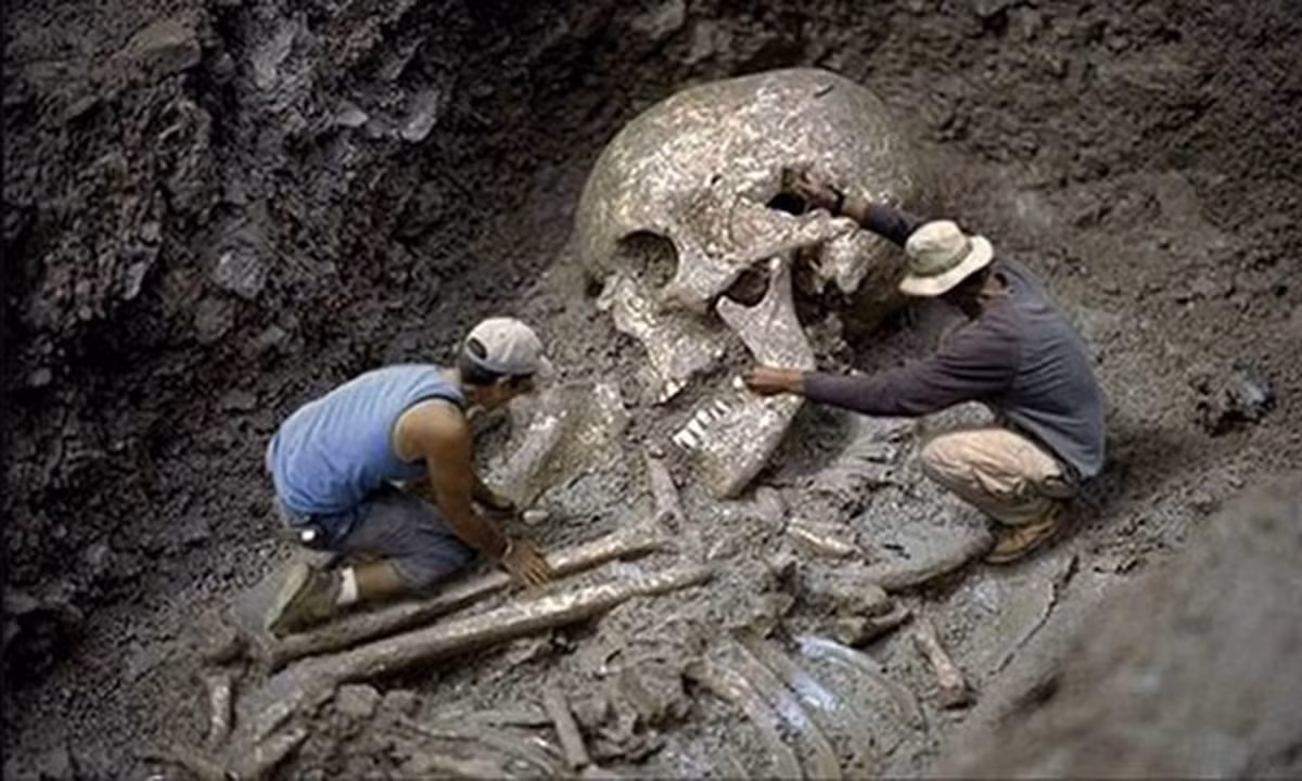 Bởi lẽ, các bộ hài cốt được phát hiện khu vực hồ Delavan có chiều cao trung bình từ 3 - 5m khiến nhiều người suy đoán đó là hài cốt của người khổng lồ.