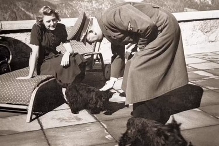 Nhà độc tài Hitler tham vọng xây dựng nước Đức với người dân mang dòng máu Aryan cao quý. Với những công dân ưu tú như vậy, Hitler tin rằng nước Đức sẽ làm chủ thế giới trong tương lai và Đức quốc xã ngày càng lớn mạnh, có thể tồn tại hàng ngàn năm.