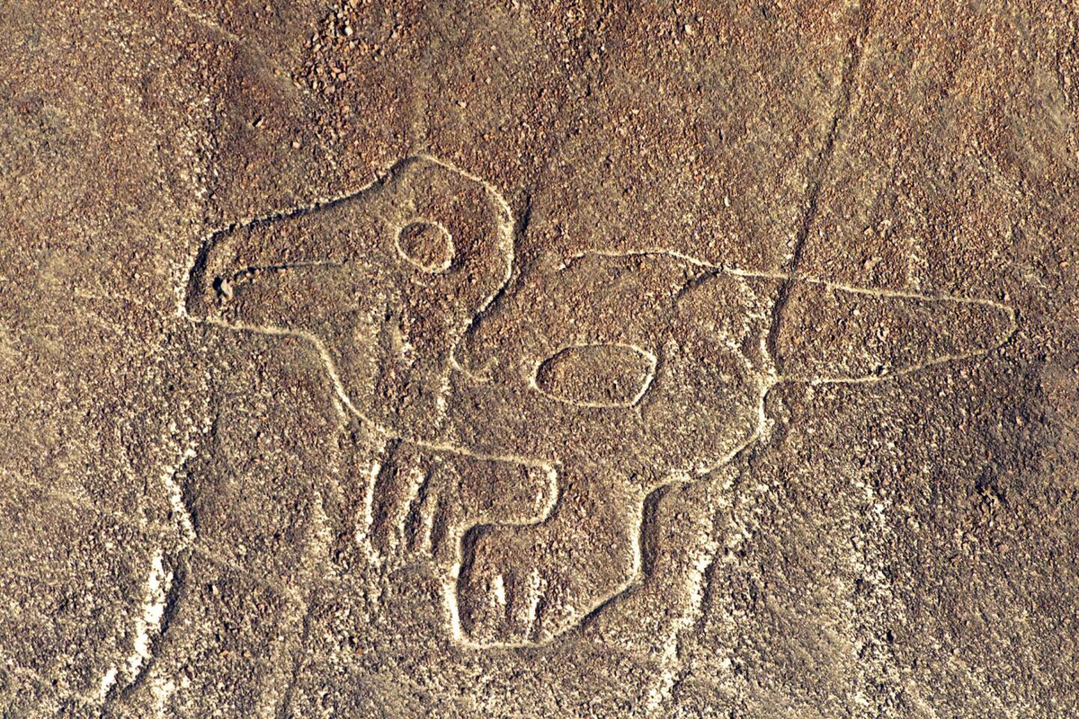 Các chuyên gia hy vọng việc ứng dụng các kỹ thuật mới thông qua phân tích nhanh các ngân hàng dữ liệu trực quan khổng lồ và máy học cách hiểu những đặc điểm nào được liên kết tương ứng với các đường vẽ địa lý của sa mạc Nazca sẽ giúp sớm làm sáng tỏ mục đích người xưa tạo ra những hình vẽ khổng lồ, bí ẩn này.