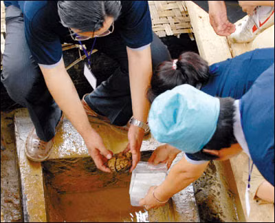 Nhờ đó, các chuyên gia thuận lợi khai quật được nhiều đồ tùy táng giá trị bao gồm cặp tóc và hoa tai bằng vàng, hơn 20 kg tiền xu cổ, 40 miếng ngọc bích và một tấm gương đồng có khắc dòng chữ "Ngũ tử đăng khoa". Ảnh minh họa.