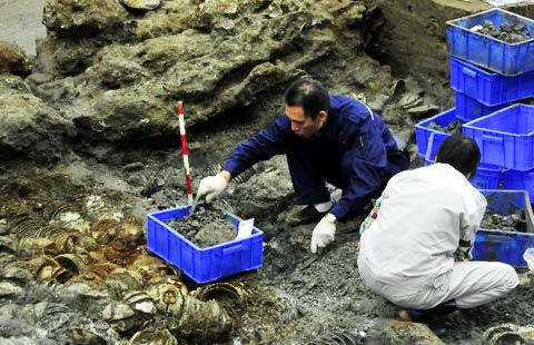 Ngoài ra, gia tộc của Lưu Quảng Kiến không phải người gốc ở huyện Phong. Tổ tiên của ông chuyển tới đây sinh sống được khoảng hơn 100 năm. Họ vô tình chọn trúng khu vực có mộ cổ của triều đại xưa để làm khu mộ của gia đình. Điều này vô tình dẫn tới việc phát hiện mộ trong mộ. Ảnh minh họa.