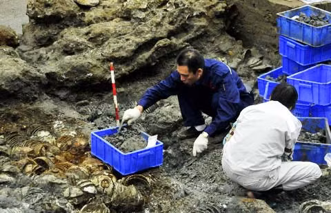 Ngoài ra, gia tộc của Lưu Quảng Kiến không phải người gốc ở huyện Phong. Tổ tiên của ông chuyển tới đây sinh sống được khoảng hơn 100 năm. Họ vô tình chọn trúng khu vực có mộ cổ của triều đại xưa để làm khu mộ của gia đình. Điều này vô tình dẫn tới việc phát hiện mộ trong mộ. Ảnh minh họa.