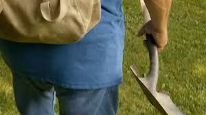 Vào mùa đông năm 1956, một người nông dân sống ở Trương Gia Đô tỉnh Chiết Giang (Trung Quốc) vô tình tìm thấy một kho báu "khủng". Sự việc xảy ra khi ông tranh thủ những ngày nông nhàn lên núi lấy đá về xây một chuồng lợn để chăn nuôi.