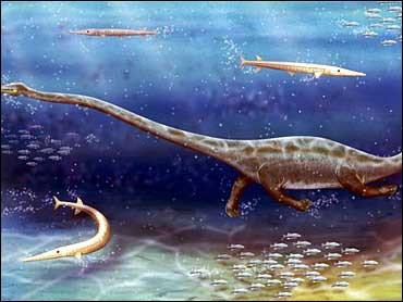 Chiếc cổ dài có nhiều đốt và giống rắn của "rồng Trung Quốc" có thể đã giúp loài bò sát này tiếp cận và tấn công con mồi một cách hiệu quả.