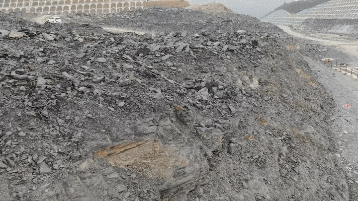 Vì vậy, các chuyên gia đề nghị cơ quan chức năng phong tỏa công trường để thuận tiện cho cuộc khai quật, tìm kiếm các hóa thạch khác đang vùi mình dưới đất.