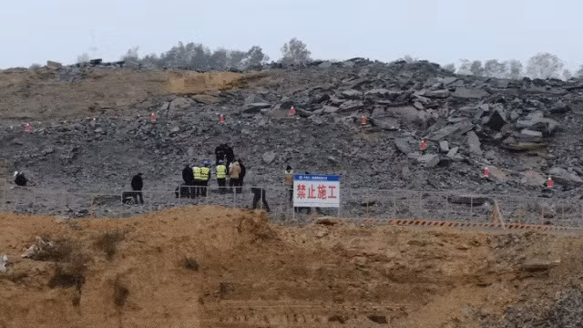 Sau khi nhận được tin báo từ người dân, lực lượng chức năng cùng các chuyên gia đã nhanh chóng tới công trường. Sau khi kiểm tra, phân tích các hiện vật, họ xác định những thứ công nhân tìm thấy thực sự là hóa thạch sinh vật cổ xưa.