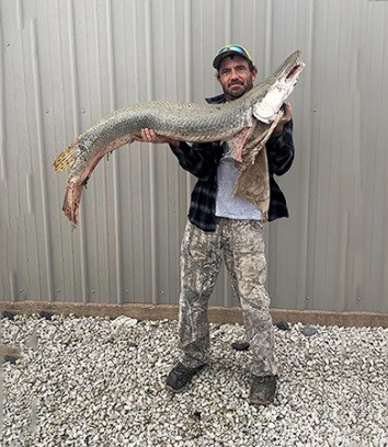 Đó là một con cá láng lớn Bắc Mỹ dài 1,4m. Đây là cá thể đầu tiên của loài được quan sát thấy ở bang Kansas, Mỹ.