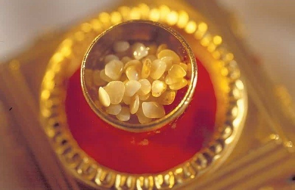 Trong kinh Phật có vài bản kinh Đức Phật nói về xá lợi (hay còn gọi xá lị). Đó là những tinh thể cứng rắn, nhiều màu sắc kết lại từ xương, răng... được phát hiện trong tro cốt của một nhà sư tu hành sau khi làm lễ trà tỳ.