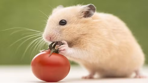 3 thang toi: 3 tuoi tien vao nhu nuoc, chop mat thanh ty phu-Hinh-8