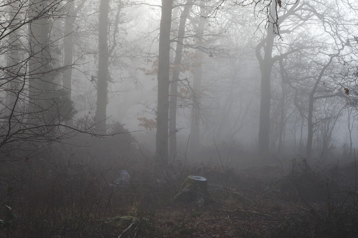 Kỳ bí hơn, một số người đặt chân lên đảo Barsa-Kelmes biến mất một cách bí ẩn không để lại dấu vết nào. Không chỉ vậy, một số thiết bị như đồng hồ, la bàn... không hoạt động khi ở đảo Barsa-Kelmes. Thậm chí, một số người cảm thấy thời gian có lúc trôi rất chậm nhưng cũng có lúc trôi rất nhanh.