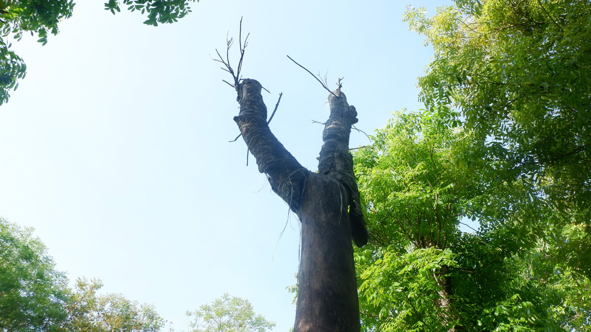 Đứng trước tình trạng trên, ông Hưng đã nhiều lần cố gắng liên hệ, tìm gặp anh Long (được cho là Giám đốc công ty Beepro), người ký hợp đồng thuê đất với ông để yêu cầu thực hiện đúng hợp đồng đã ký kết nhưng không được.