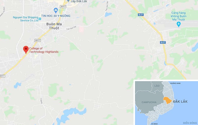 Them cay phuong bat ngo bat goc, do guc trong san truong-Hinh-3